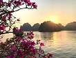 What does 2-Day-1-Night Halong Bay cruise bring you?