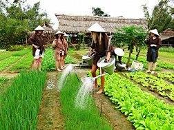 Experience local life in Hoi An