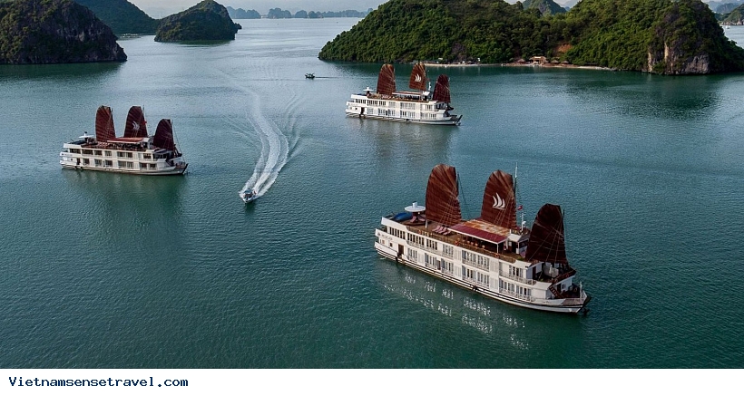 5* Pelican Luxury Cruise 3 days