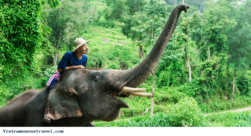 Around The Northern Thailand