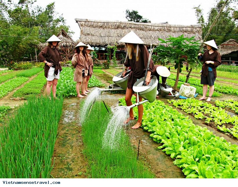 Experience local life in Hoi An