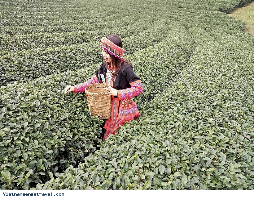 Son La - Dien Bien Phu tour