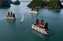 5* Pelican Luxury Cruise 3 days