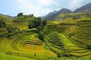 Discover Hidden Charm of Northern Vietnam