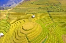Explore Mu Cang Chai Terrace Fields