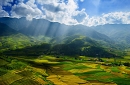 Explore Mu Cang Chai Terrace Fields
