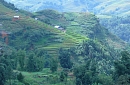 Explore Sapa on bicycle