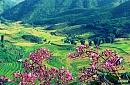North West Vietnam
