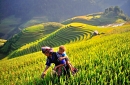 Northwest Vietnam tour