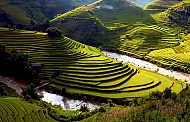 Northern Highland Rice Terraces In Vietnam Among World’s Most Colorful Places