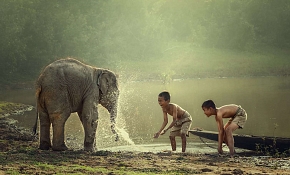 7-days tour in Laos 7-days tour in Laos