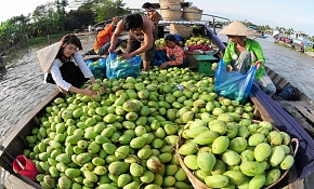 Cai Be Floating Market - Can Tho Tour Cai Be Floating Market - Can Tho Tour