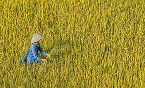 Vietnam – Laos Nature and Culture Tour