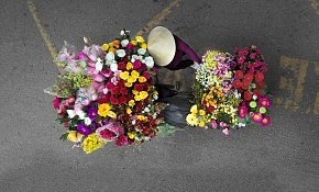 Best tour of Vietnam and Cambodia