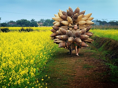 Best Cultural and Heritage Vietnam Best Cultural and Heritage Vietnam