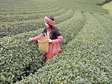 Son La - Dien Bien Phu tour