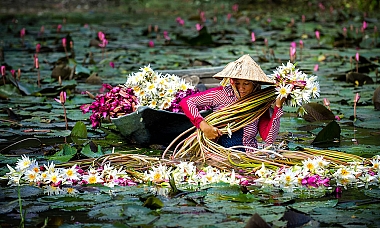 Vietnam at a Glance Vietnam at a Glance