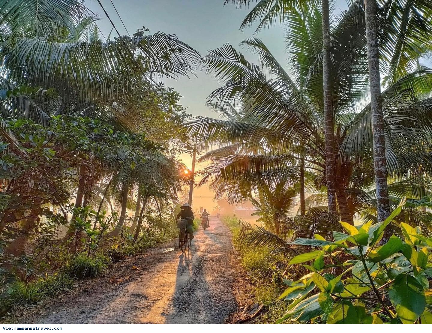 Ben Tre - Legendary Coconut Land of Mekong Delta - Ảnh 1