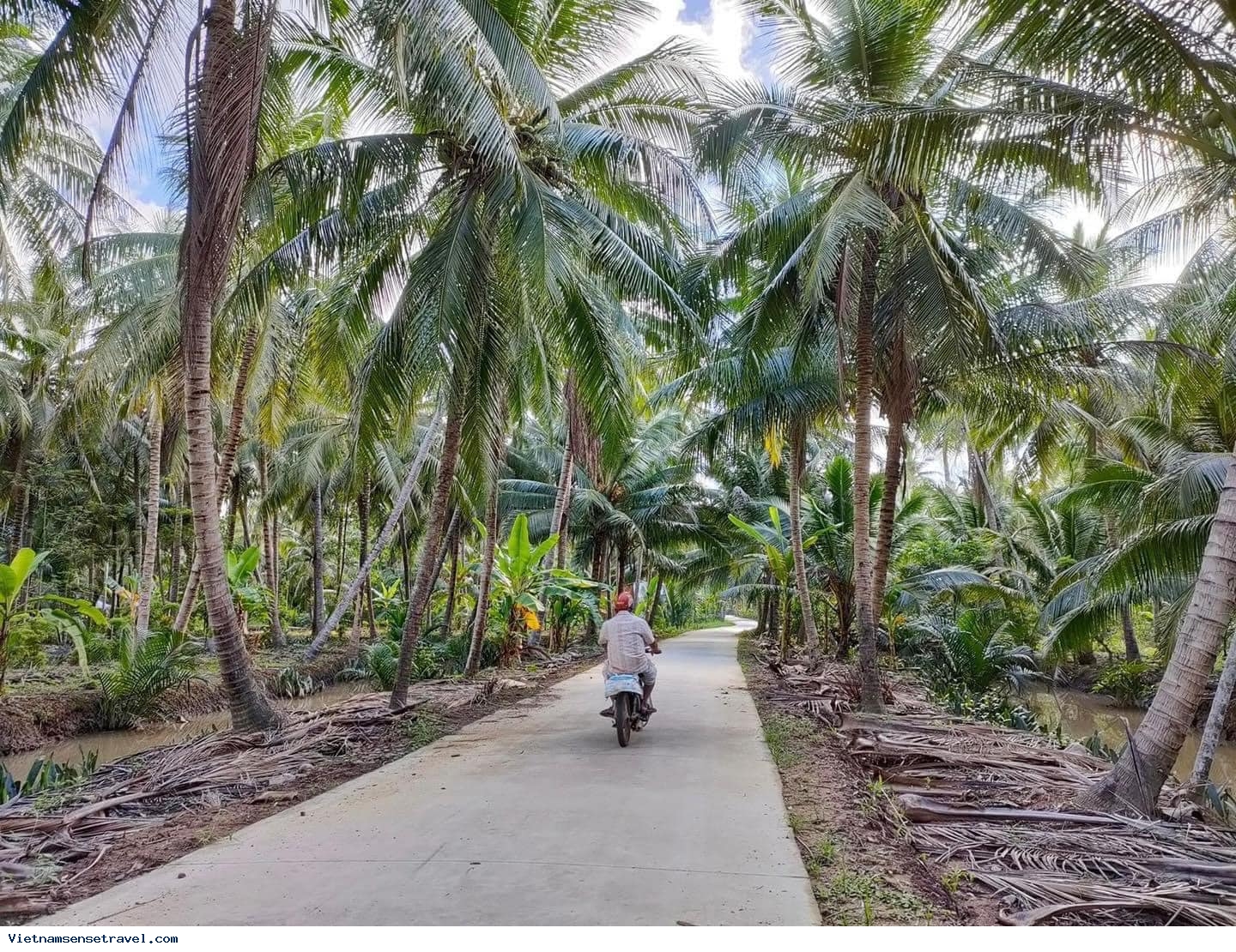 Ben Tre - Legendary Coconut Land of Mekong Delta - Ảnh 2