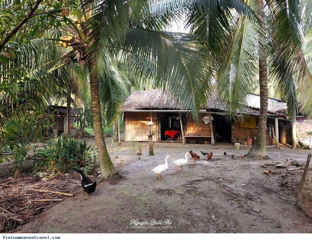 Ben Tre - Legendary Coconut Land of Mekong Delta - Ảnh 3