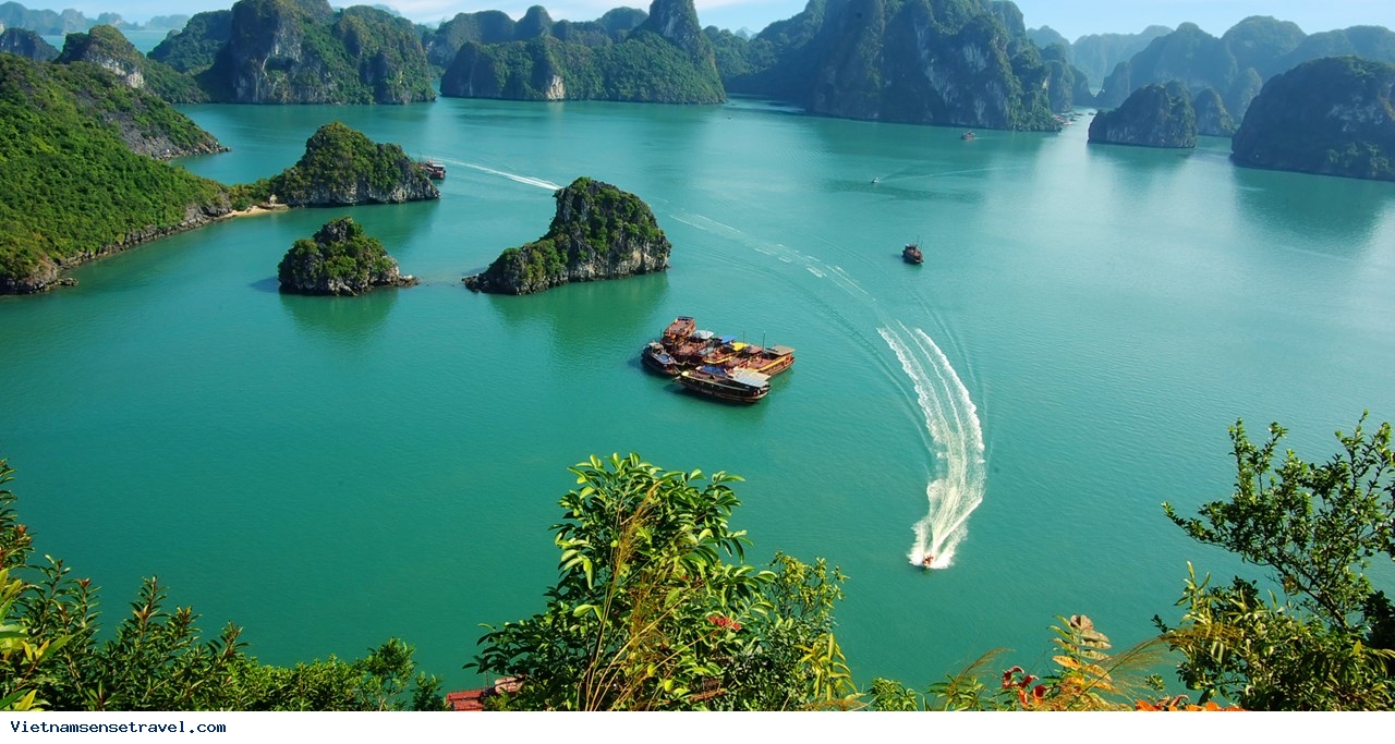 Ha Long Bay A Top 10 Asian Tourist Attraction - Ảnh 2