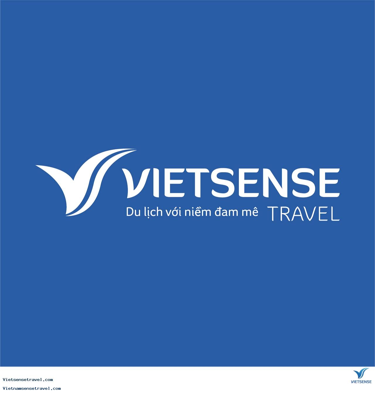 VietSense Travel officially changed its new brand identity - Ảnh 4
