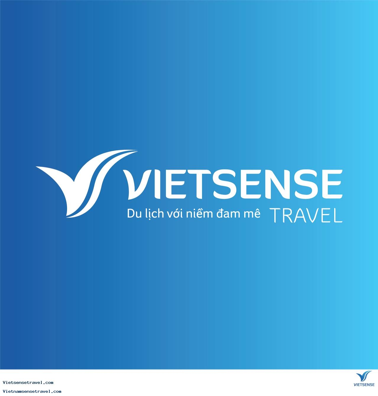 VietSense Travel officially changed its new brand identity - Ảnh 3