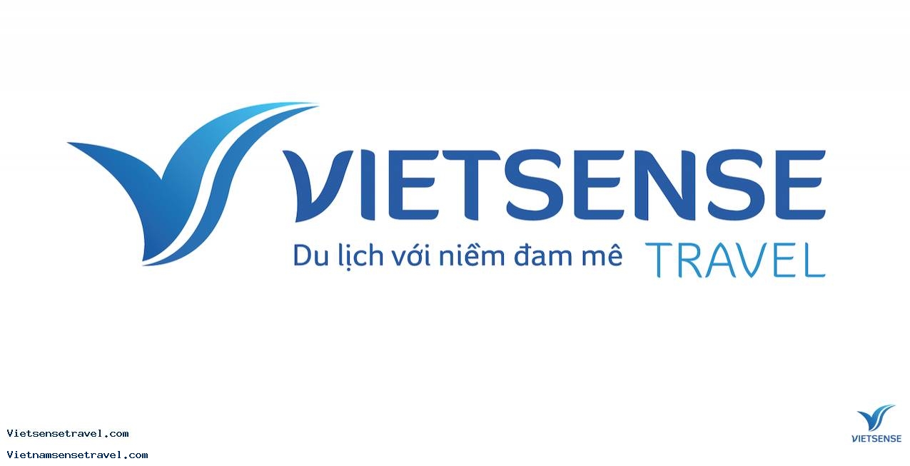 VietSense Travel officially changed its new brand identity - Ảnh 1