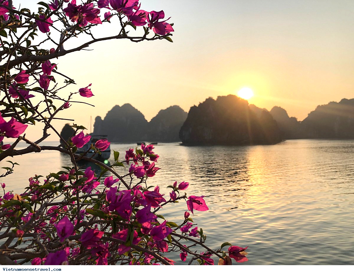 What does 2-Day-1-Night Halong Bay cruise bring you? - Ảnh 1